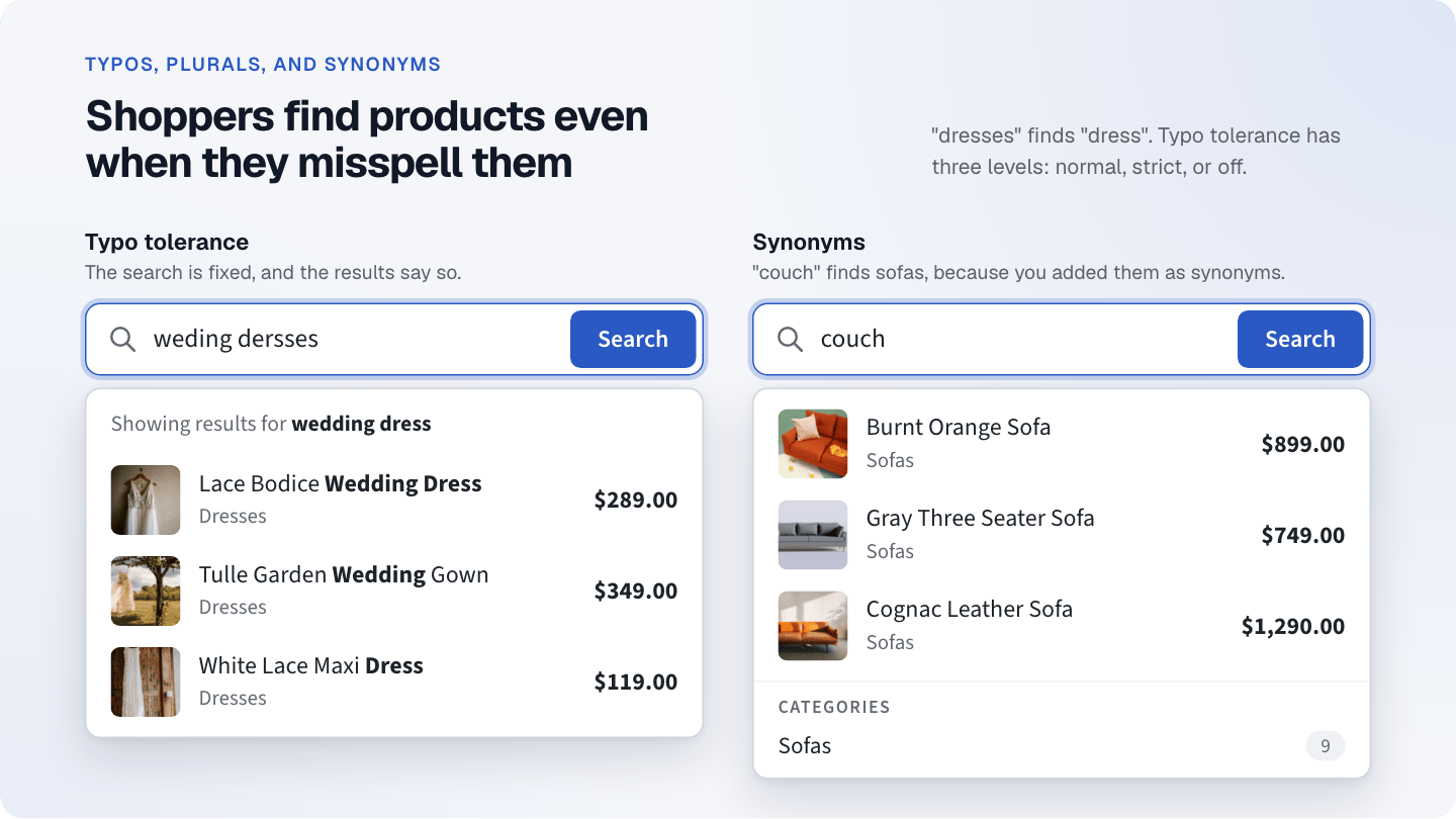Typo tolerance and synonyms in the search bar