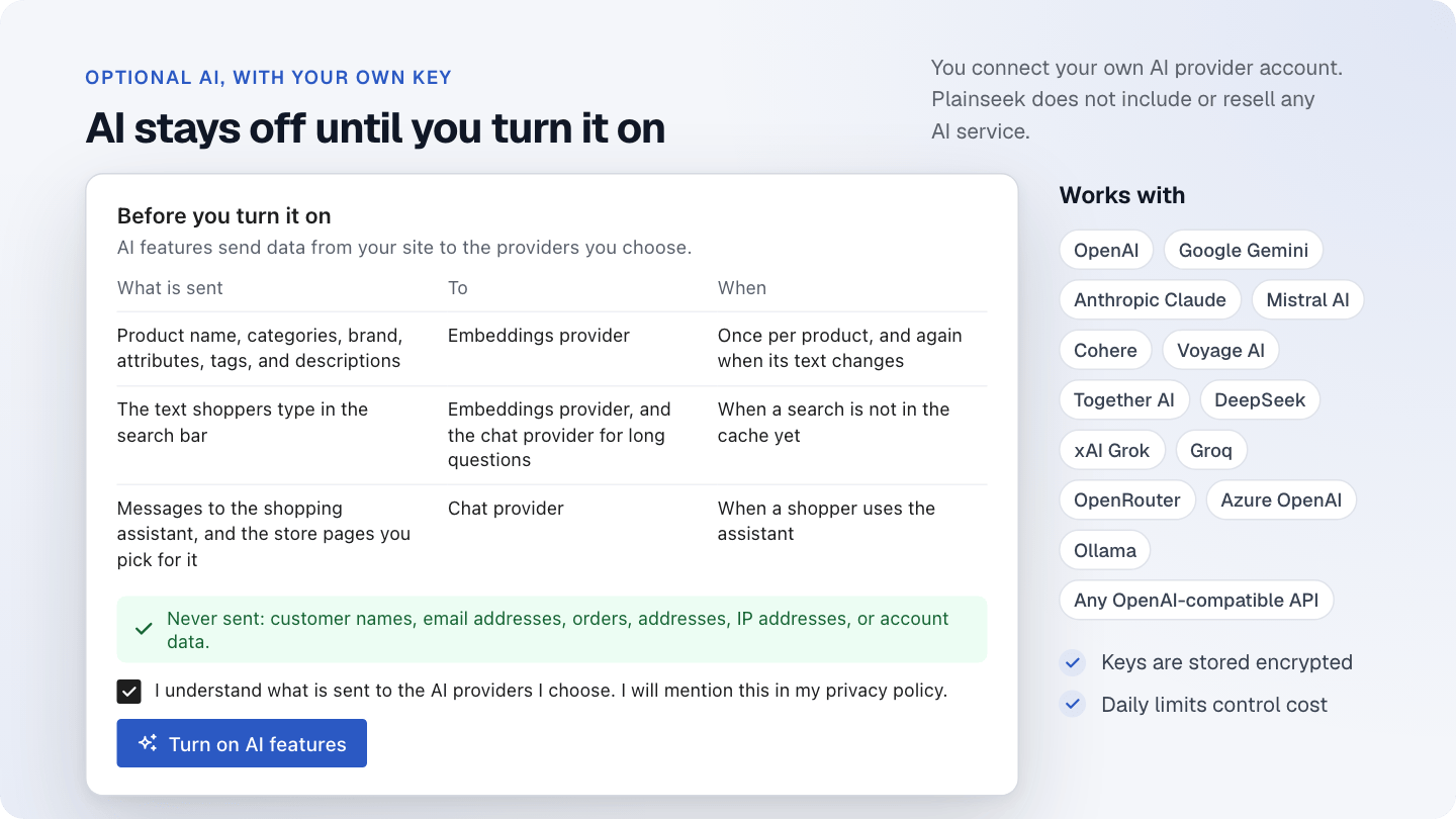 The AI screen that shows what is sent to AI providers